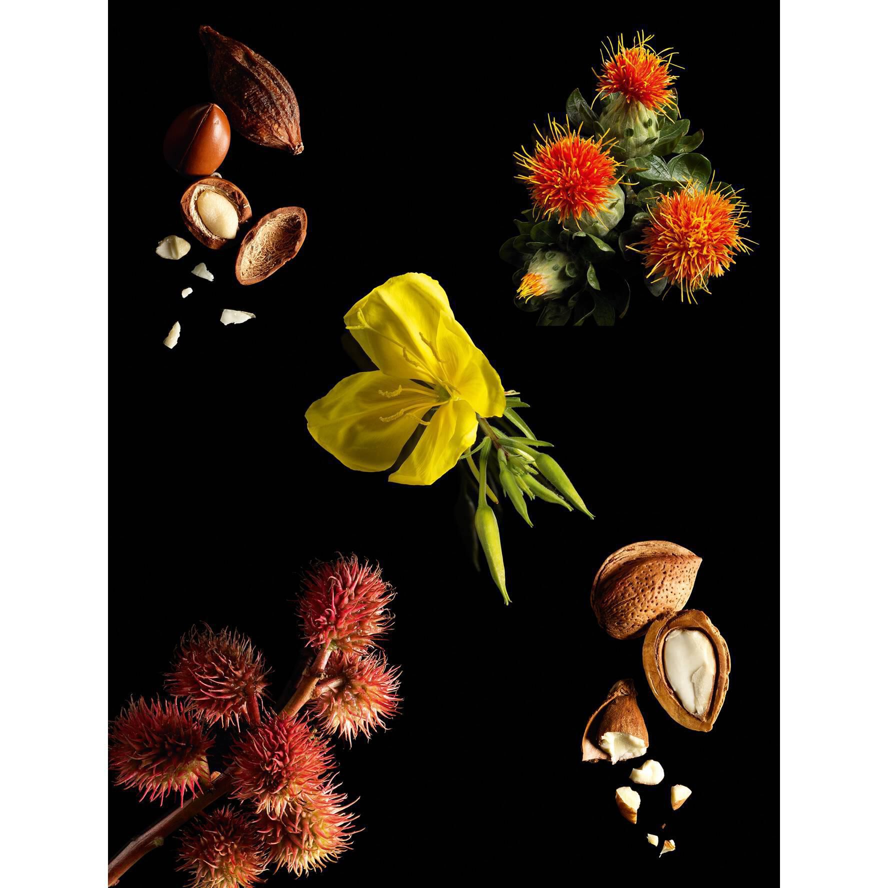 OR ROUGE ANTI-AGING FACE OIL