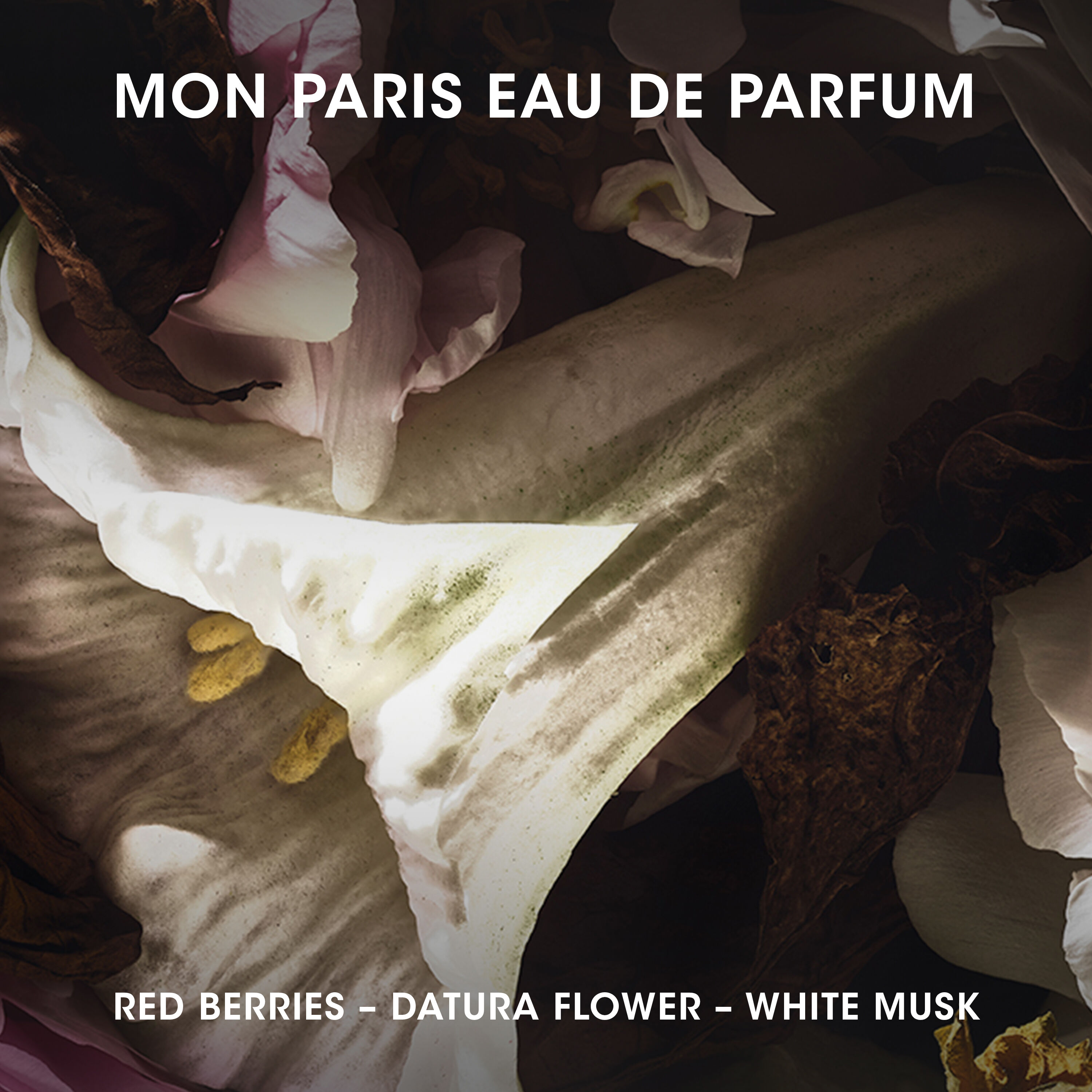 WOMEN'S PERFUME DISCOVERY SET