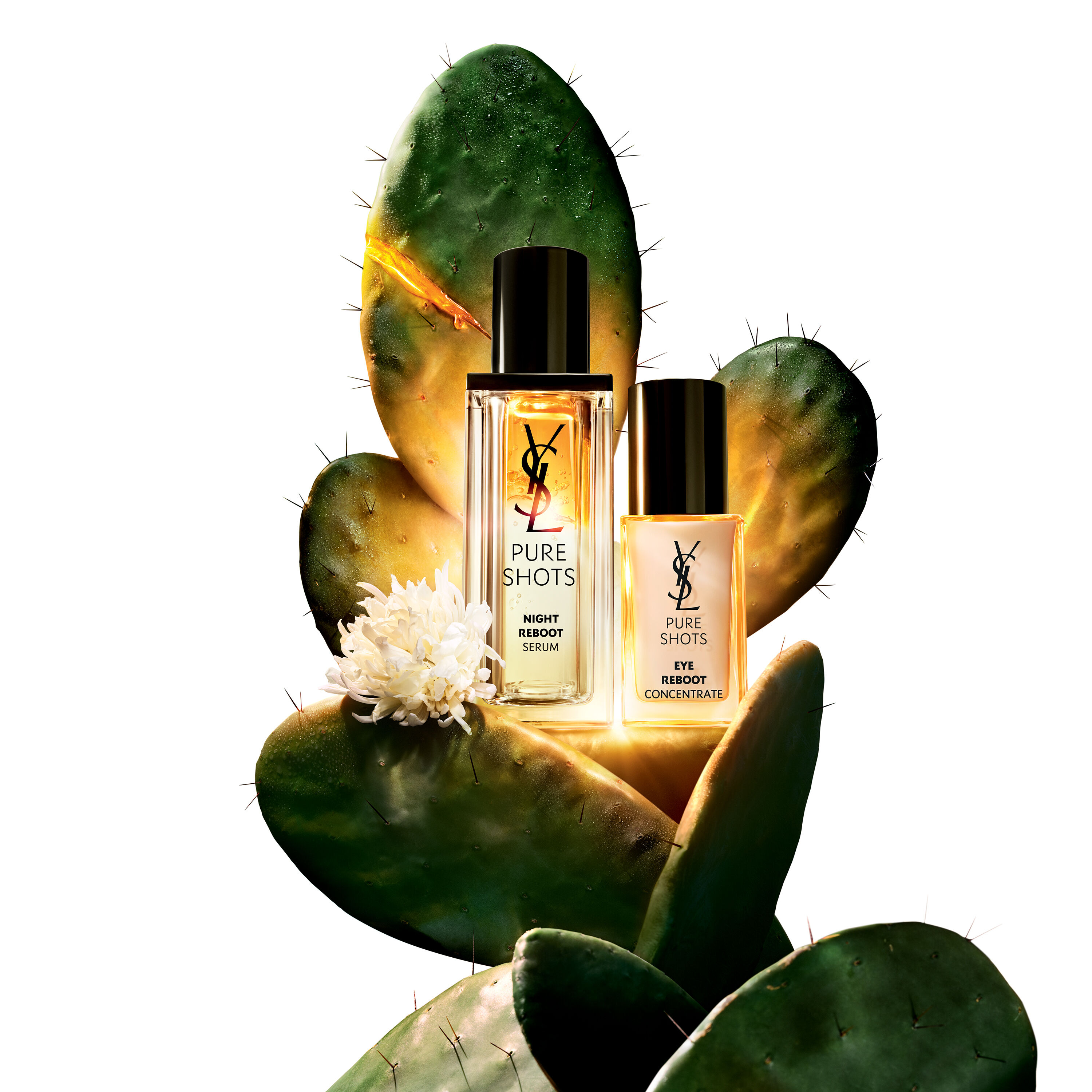 PURE SHOTS EYE REBOOT CONCENTRATE