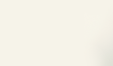 Zoe Kravitz's head posing inside left of a rectangular box—hair is slicked, collar up, cheekbones pronounced & not smiling.