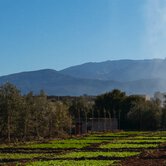 Ourika Community Gardens