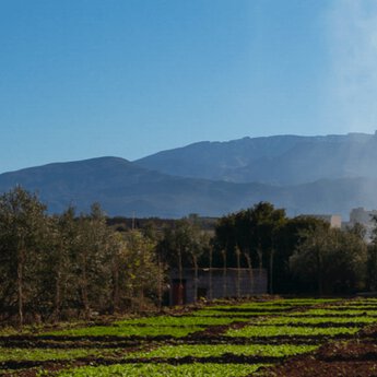 Ourika Community Gardens